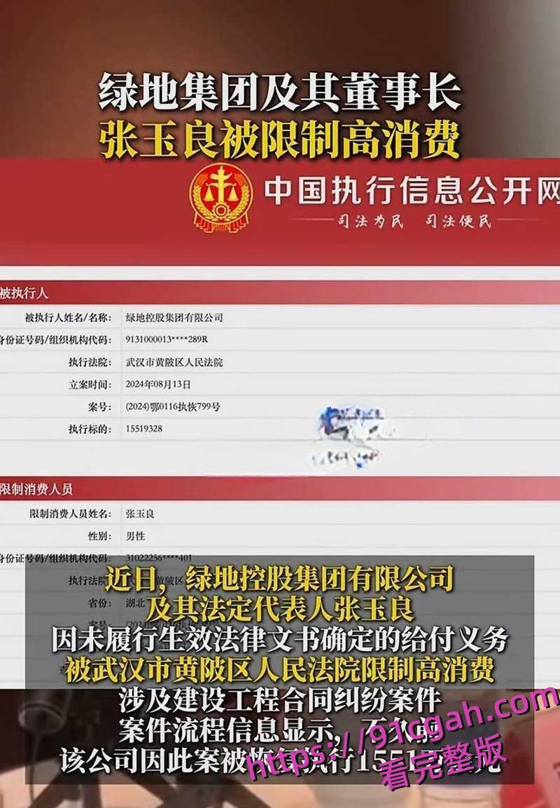 上海绿地集团董事长总裁张玉良性丑闻 张玉良吸毒 带女秘书去KTV裸嗨!-4