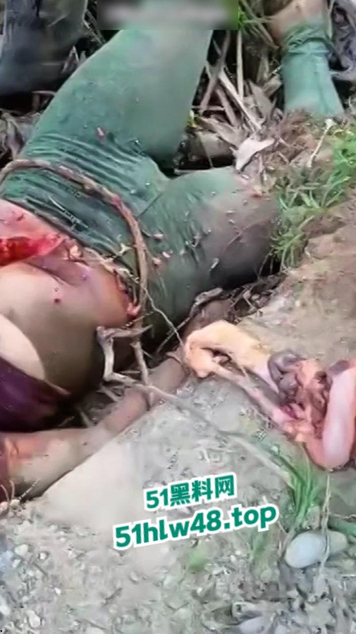 【恐怖血腥】国外大奶美女剖尸现场视频,大坨内脏被扯出,大奶美女和肥猪没啥区别。-3