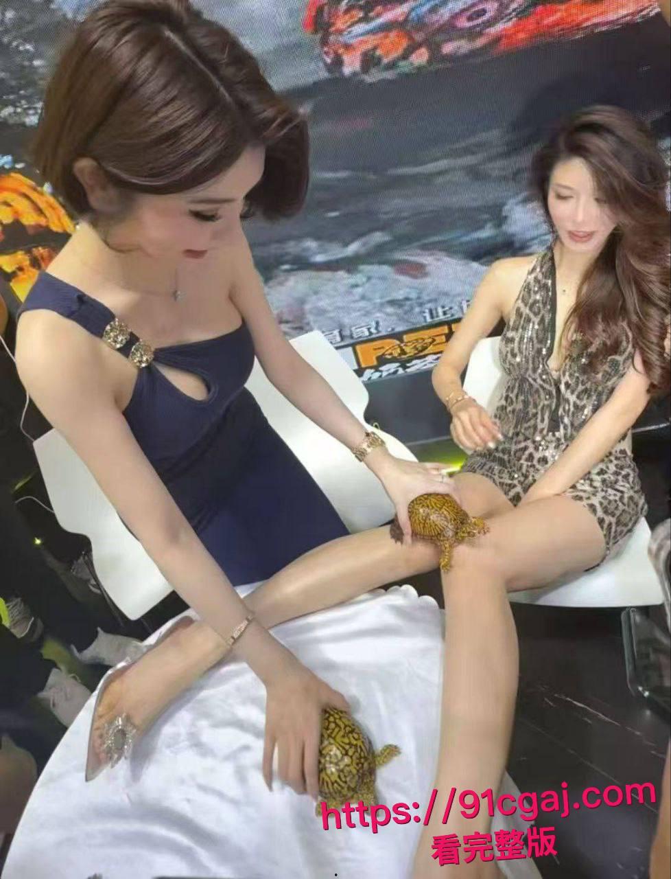现在连卖乌龟都要请模特？广东佛山顺德龟展黑丝妹子扭腰甩臀勾魂，主办方慌张轰走这场肉欲大趴体 #世界名龟展模特派对揭秘 #网红高颜女神龟展暴露  #网红擦边 #龟友-2
