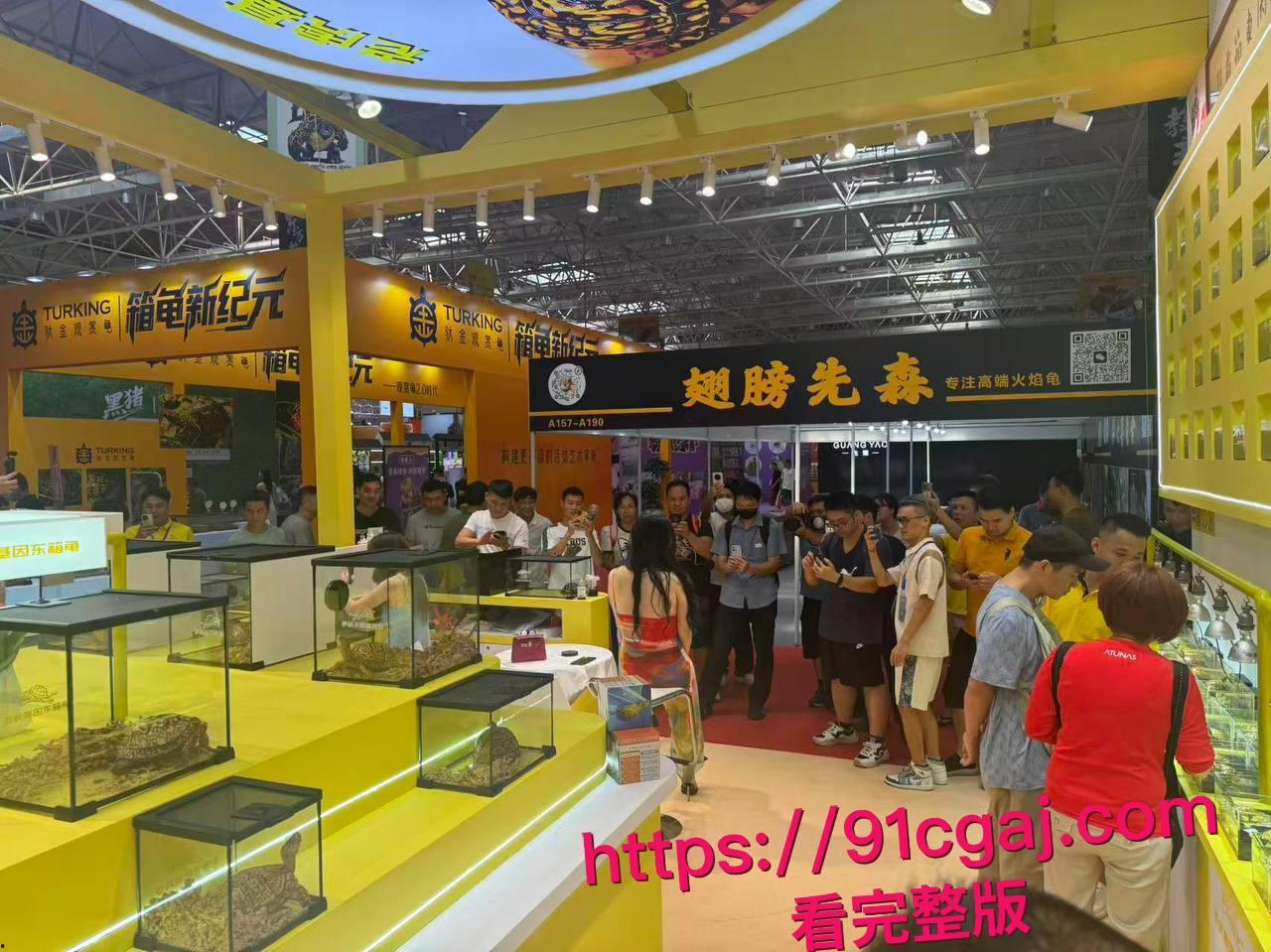 现在连卖乌龟都要请模特？广东佛山顺德龟展黑丝妹子扭腰甩臀勾魂，主办方慌张轰走这场肉欲大趴体 #世界名龟展模特派对揭秘 #网红高颜女神龟展暴露  #网红擦边 #龟友-12