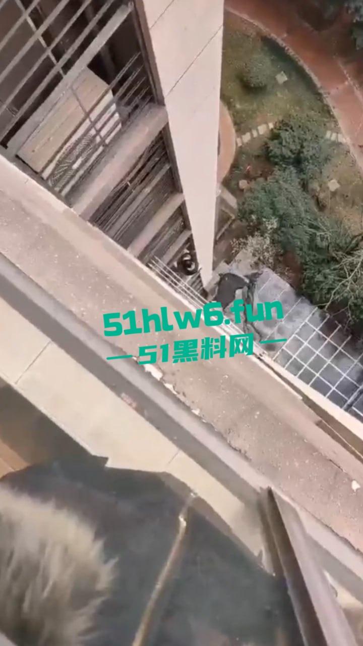 山东瓜友实拍一小孩突发奇想，跨过窗户跑到空调机外墙顺着栏杆从高层爬下去，真是初生牛犊不怕虎啊。-4